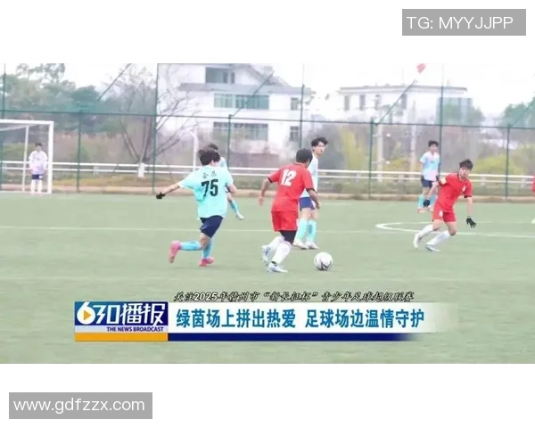 将足球踢进梦想的彼岸追逐激情与荣耀的绿茵之路