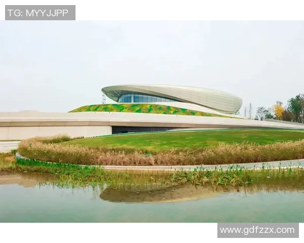 成都街舞队包夹革新探索与实践的深度解析与未来展望