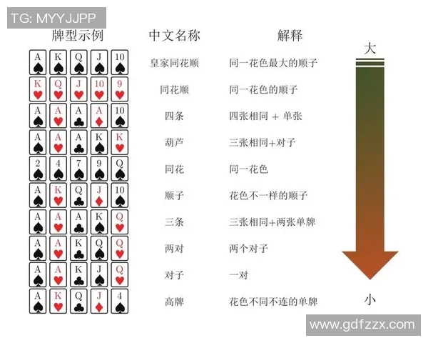 独家解析：JDG战术体系与对手策略的深度对比分析