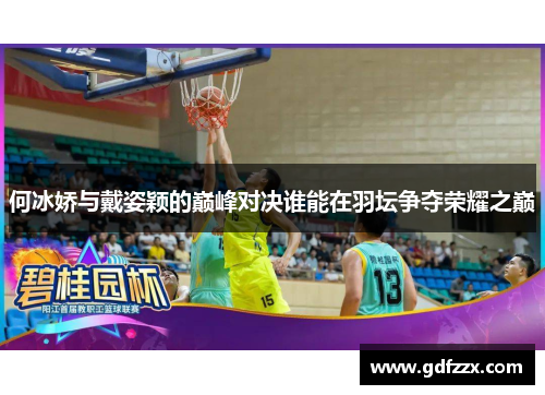 何冰娇与戴姿颖的巅峰对决谁能在羽坛争夺荣耀之巅
